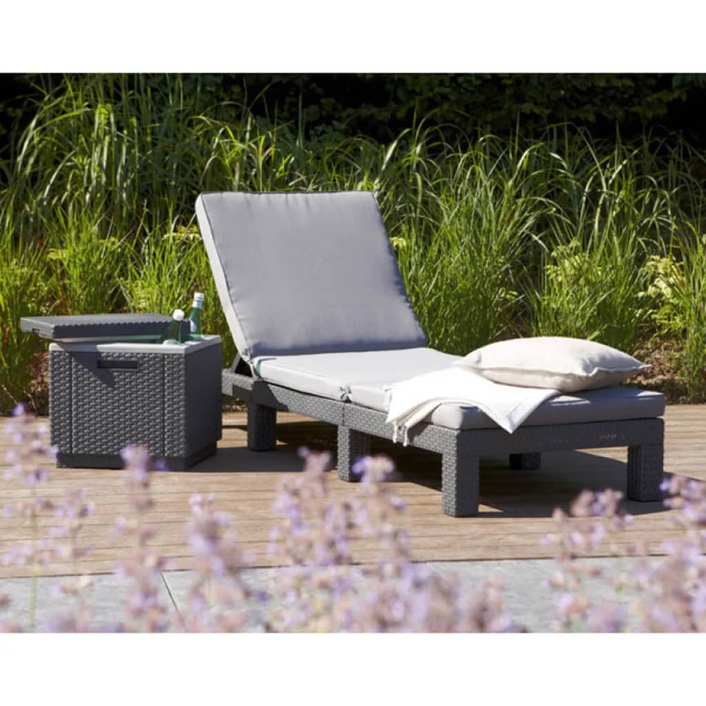 VidaXL - Allibert Ligbed Daytona grafiet 213720